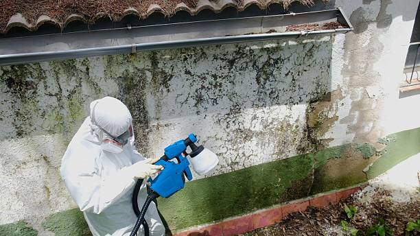 Top rated local Crawl Space Mold Removal specialists in Coburn, PA